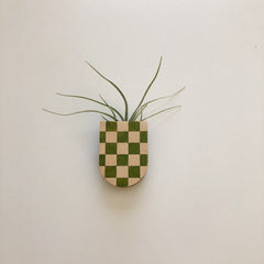 Mini Magnetic Planter Pot - Checkered
