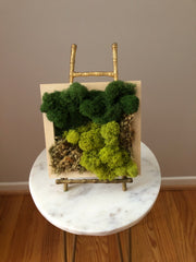 Modern Moss Art - Square