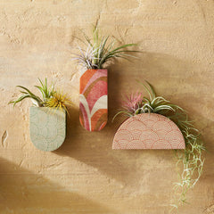 Mod Curves Dome Wall Vase Planter