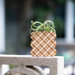 Scallop Petals Wall + Tabletop Vase Planter