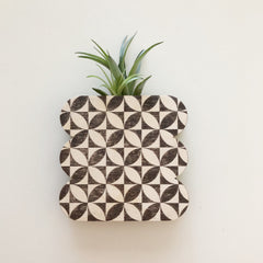 Framed Scallop Petals Wall Vase